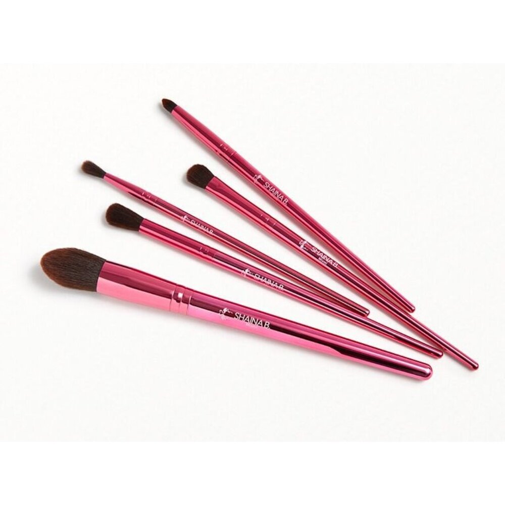 Shaina B Miami 5-Piece Makeup Brush Set B Fab In Pink Face Blush Eyeshadow NEW